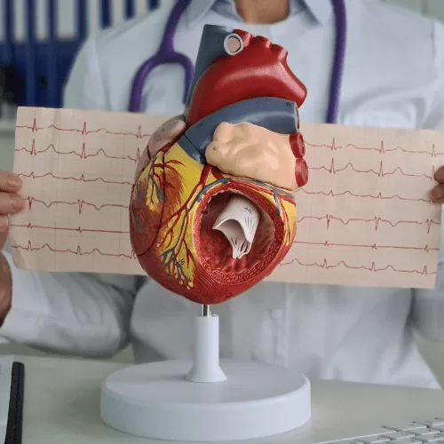 Cardiología, medicina interna y ecocardiografía cerca de la rumorosa, baja california, en Tijuana y Tecate